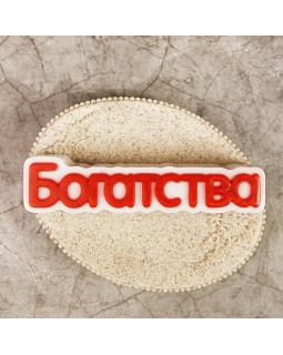 Пластиковая форма "Богатства" (слово)