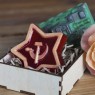 Пластиковая форма "Звезда патриота"