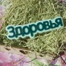 Пластиковая форма "Здоровья" (слово)