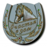 Пластиковая форма Подкова (Счастья в дом)