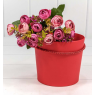 Коробка "Ваза для цветов" 15*13 с ручкой Красный 1 шт.