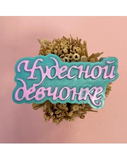 Пластиковая форма "Чудесной девчонке"