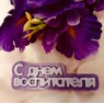 Пластиковая форма "С Днем воспитателя (надпись)"