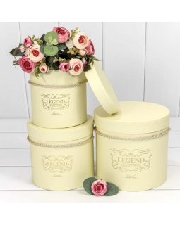 Коробка Цилиндр 12,5*12,3 "Legend" Бежевый 720189/6-foto2