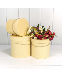 Коробка Цилиндр 19,5*19 из дизайнерской бумаги Пудровый 7201000/425-foto2