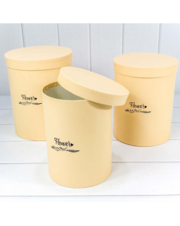 Коробка Цилиндр 21*26 "Flower" Песочный 720771/2-foto2