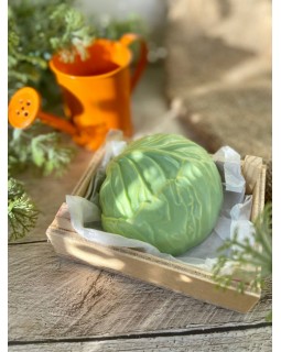 Капуста форма пластиковая АМ-foto2