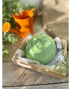 Капуста форма пластиковая АМ-foto2