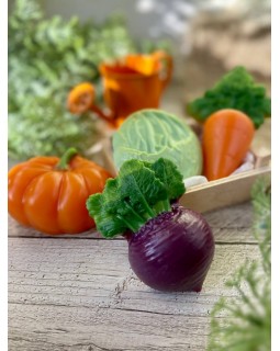 Свекла форма пластиковая АМ-foto2