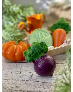 Свекла форма пластиковая АМ-foto2