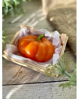 Тыква 1 форма пластиковая АМ-foto2