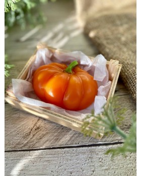 Тыква 1 форма пластиковая АМ-foto2